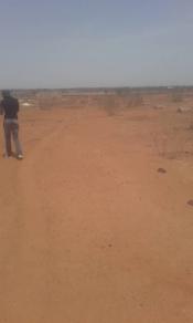 Terrain de 1ha a toubab dialaw