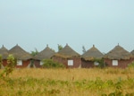 Le Baobab du Saloum