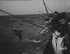 1957 : Pêche et étude du thon à Dakar Sénégal - 11162 vues